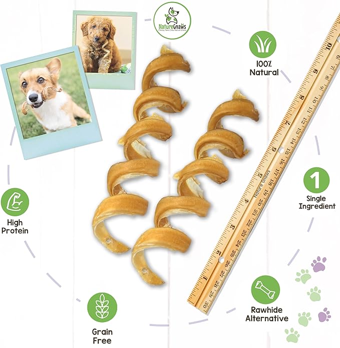 Nature Gnaws Bully Stick Springs for Dogs - Premium Natural Beef Dental Bones - Long Lasting Curly Dog Chew Treats for Aggressive Chewers - Rawhide Free 6 Count (Pack of 1)