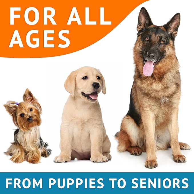 Omega 3 Alaskan Fish Oil Treats for Dogs (360 Ct) - Dry & Itchy Skin Relief + Allergy Support - Shiny Coats - EPA&DHA Fatty Acids - Natural Salmon Oil Chews - Hip & Joint Support - Salmon Flavor