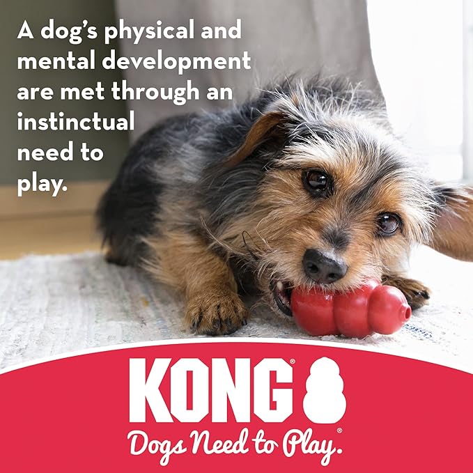 KONG - Biscuit Ball - Durable Rubber, Treat Dispensing Toy - for Small Dogs