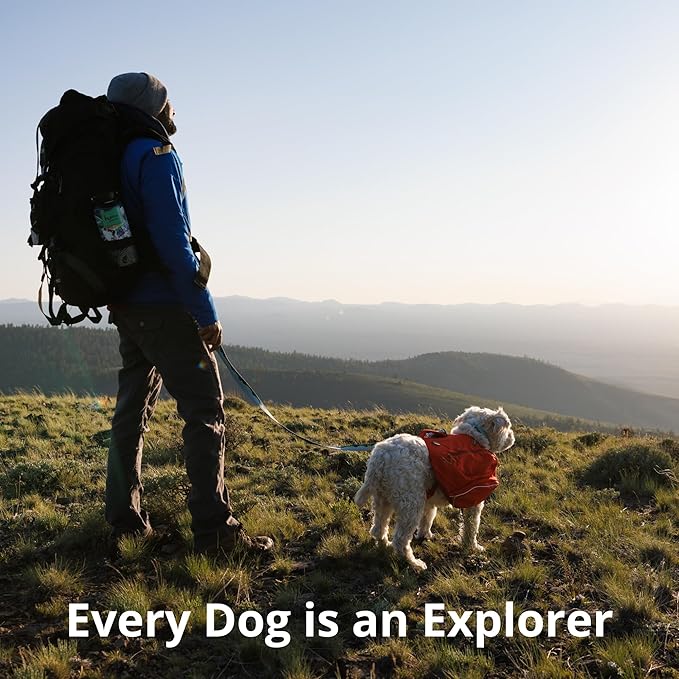 Ruffwear, Crag Dog Leash, Hand-Held or Waist-Worn Reflective with Traffic Handle, Grassy Oxbow