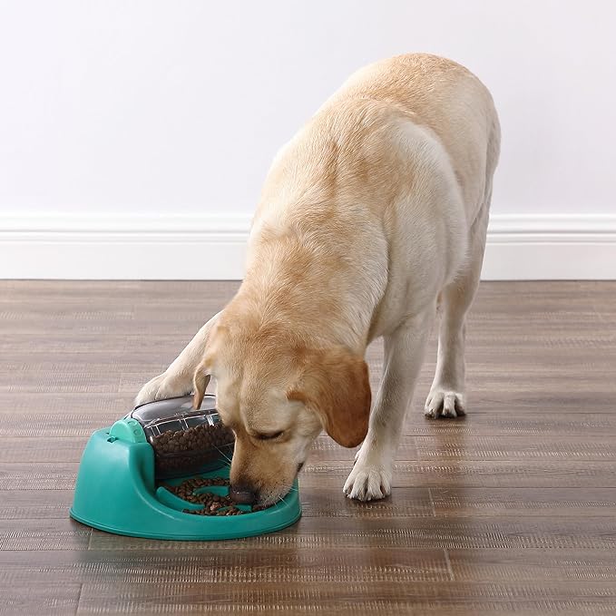 Nina Ottosson by Outward Hound Dog Spin N' Eat Interactive Dog Food Puzzle Slow Feeder, Level 2 Intermediate Dog Enrichment Toy, Green