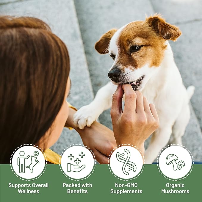 K9 Immunity Plus - Potent Immune Booster for Dogs Under 30 lbs - Certified Organic – Mushroom Enhanced Supplement - Veterinarian Recommended Dog Health Supplement (30 Chews)