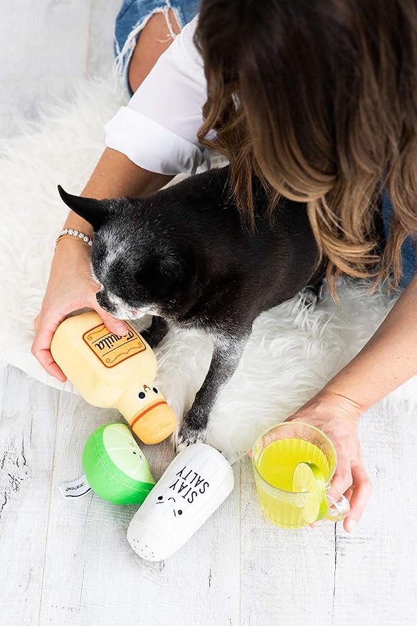 Pearhead Pet Toys, Plush Dog Squeaker Toys and Cat Teaser Toys, Dog Owner and Cat Owner Pet Toy Sets, Must Have Pet Accessories for Pet Owners