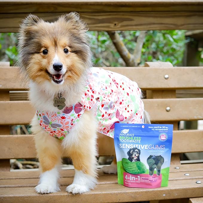 ARK NATURALS Brushless Toothpaste for Sensitive Gums, Dog Dental Chews for Small Breeds, Vet Recommended for Plaque, Bacteria & Tartar Control, Green, Mint, 12 Oz