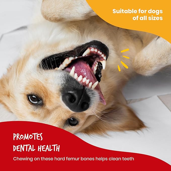Beefeaters Dog Treats - Natural Pork Femur Bone 1ct, Pack of 3 | Rawhide Free Dog Food | Real Pork | Cleans Teeth & Gums | Highly Digestible | Training Treats for All Dog Sizes