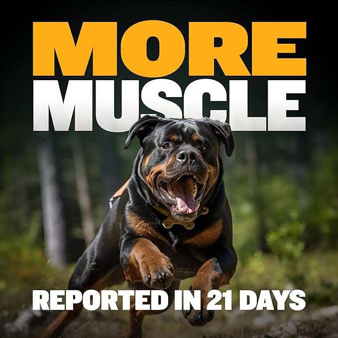 Bully Max Muscle Builder Soft Chews for Dogs and Puppies - Training Supplements Chews for Puppy and Adult Dog - Dog Food Treats for Muscle Gain - All Dog Breeds & Ages, 75 Delicious Soft Chews