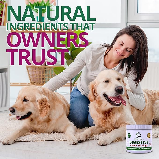 Digestive Supplement for Dogs - Recommended Probiotics Chew by FurParents - Improves Digestive and Gut Health, Helps with Diarrhea, Upset Stomach, Bad Breath & Constipation, 120 Count