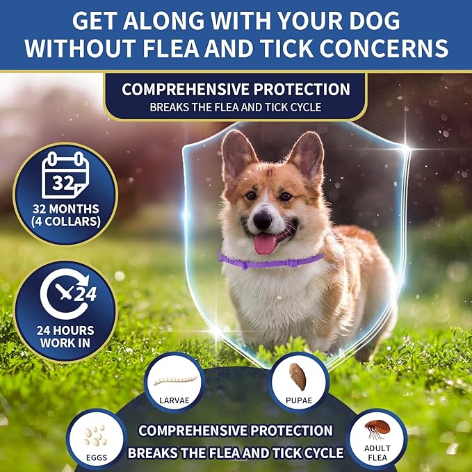 4 Pack Flea Collar for Dogs, 8 Months Flea and Tick Collar for Dogs Puppies, Flea and Tick Prevention for Dogs, Adjustable Waterproof Dog Flea Collar, Dog Flea and Tick Treatment-Gray Purple
