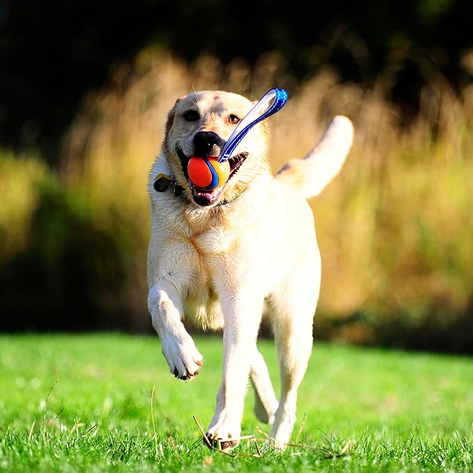 Chuckit Ultra Tug Dog Toy, Large Fetch and Dog Ball Tug Toy for Dogs 60-100 Pounds