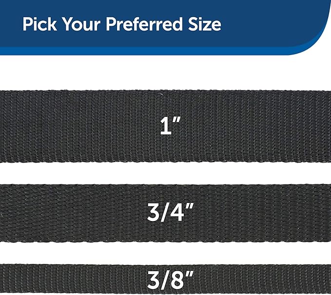 PetSafe Nylon Dog Leash - Strong, Durable, Traditional Style Leash with Easy to Use Bolt Snap - 3/4 in. x 6 ft., Black