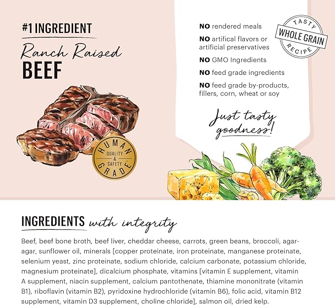 The Honest Kitchen Butcher Block Pâté: Beef, Cheddar & Farm Veggies Wet Dog Food, 10.5 oz (Pack of 6)