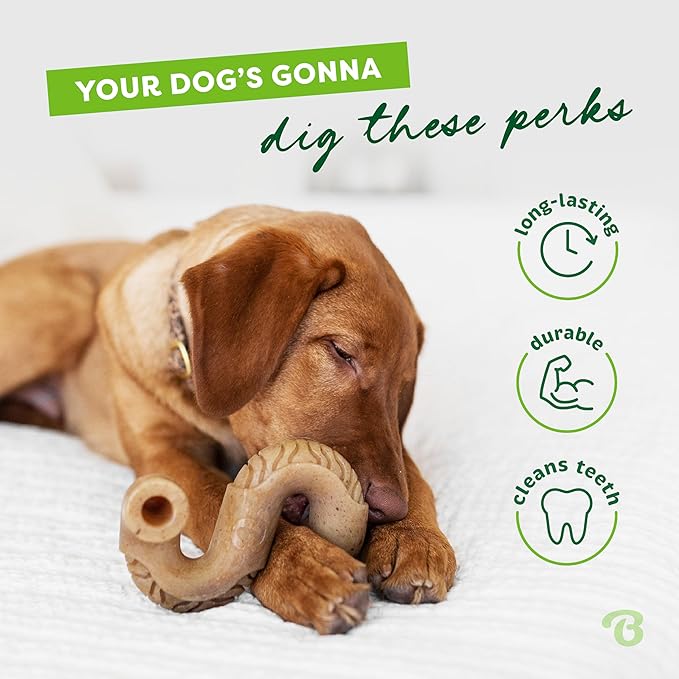 Benebone Medium Holiday 4-Pack Dog Chew Toys for Aggressive Chewers, Made in USA, 60lbs and Under & Tripe Bone Durable Dog Chew Toy for Aggressive Chewers, Real Tripe, Made in USA, Medium