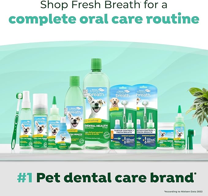 TropiClean Oral Care Brushing Gel for Dogs & Cats| Dog Toothpaste | Pet Dental Gel | Dog Teeth Cleaning Use with Pet Toothbrush | 2 oz