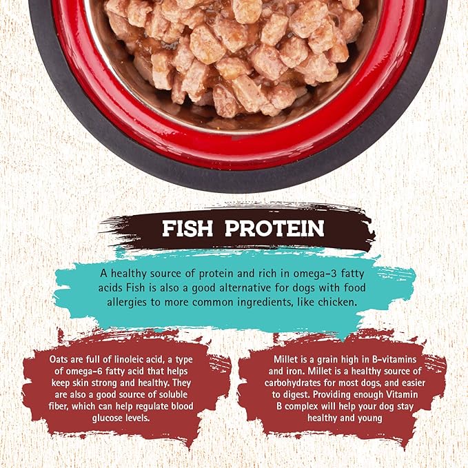 Inception® Wet Dog Food Fish Recipe – Complete and Balanced Dog Food – Legume Free Meat First Wet Dog Food – 12/13oz case