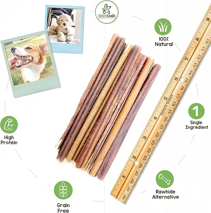 Nature Gnaws Thin Bully Sticks for Small Dogs - Premium Natural Tasty Beef Bones - Simple Long Lasting Dog Chew Treats - Rawhide Free 5-6 Inch