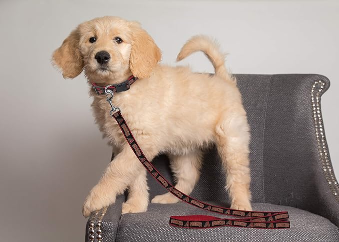MLB PET Leash, Small, Arizona Diamondbacks Dog Leash, Baseball Team Leash for Dogs & Cats. A Shiny & Colorful Dog & Cat Leash with Emboridered Team Name/Logo Licensed by the MLB