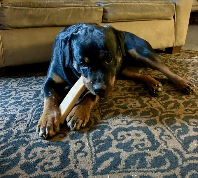 Bully Bunches Extra Large Authentic Yak Cheese Himalayan Chews for Large Dogs & Aggressive Chewers - All Natural Dog Treat Dental Chews, Made with Real Yak Milk - Lactose & Rawhide Free (6 PK)