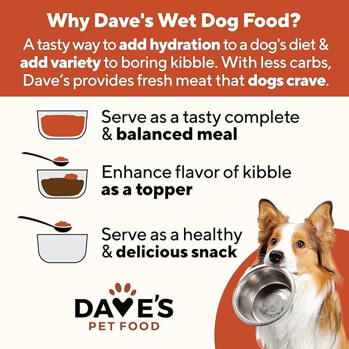 Dave's Pet Food Grain Free Wet Dog Food (Chicken & Vegetable in Gravy), Made in USA Naturally Healthy Canned Dog Food, Added Vitamins & Minerals, Wheat & Gluten-Free, 13.2 oz Cans (Case of 12)