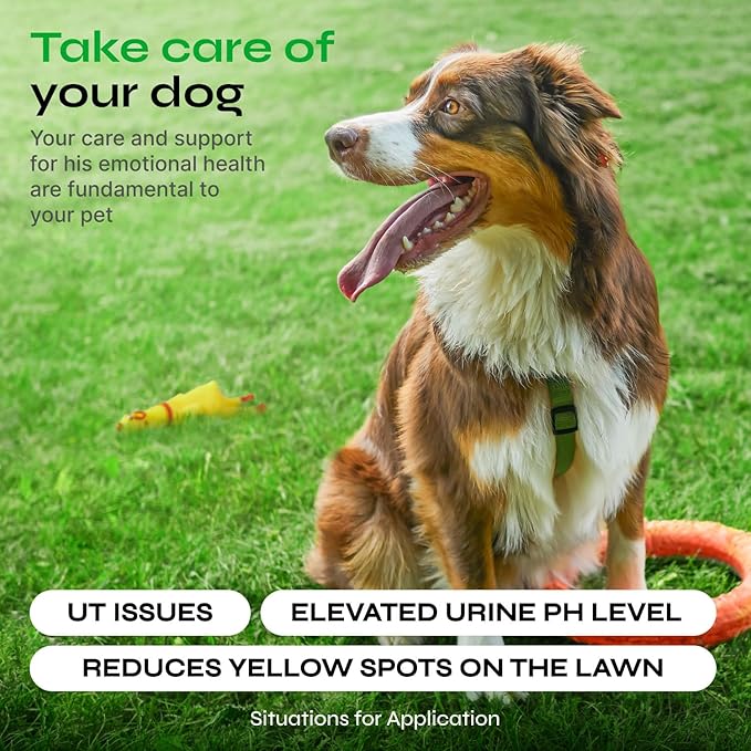 Dog Urine Neutralizer for Lawn - Grass Burn Spot Chews for Dogs - Dog Pee Lawn Spot Saver Caused by Dog Urine - Digestive Health Support Soft Chews - Grass Treatment Rocks - Grass Savers for Dog Urine