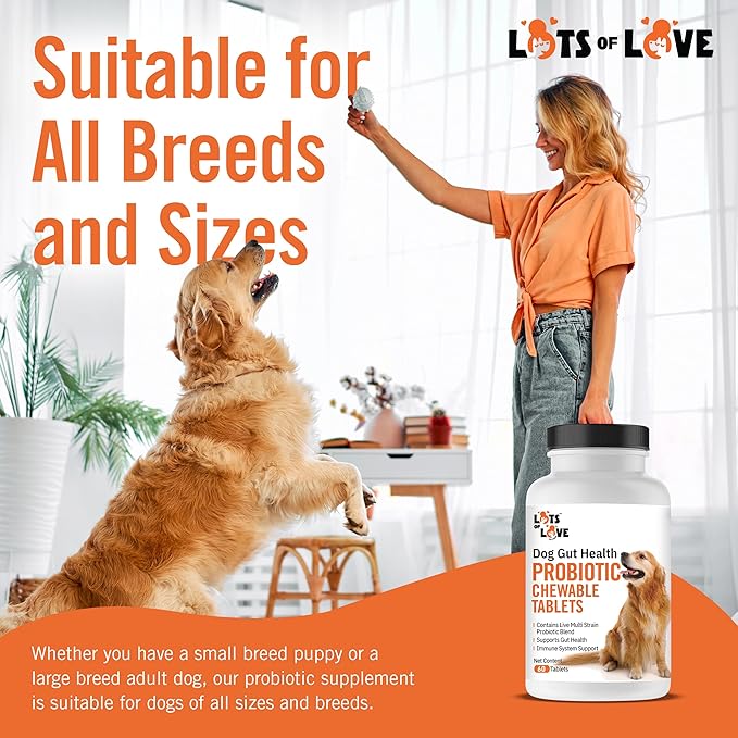 Dog Probiotic Chewable Tablets - Probiotic for Dog - Probiotic Supplement - Lots of Love Pet Products - 60 Count (Pack of 1)