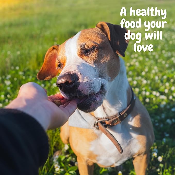 Merrick Lil' Plates Grain Free Wet Dog Food for Small Breeds - 4 Flavor 8 Tray Variety (2) Each: Steak Tips, Beef Stew, Duck Medley & Lamb Chops. Plus Healthy Pets Tip Booklet & Roll of Dog Waste Bags