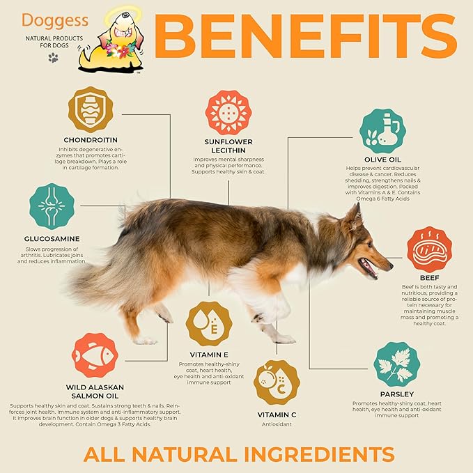 Dressing Best Hip and Joint Supplement for Dogs, Glucosamine & Chondroitin/Joint Health/Salmon Oil for Dogs Skin and Coat Health, Delicious Beef Gravy Flavor, 32 Oz