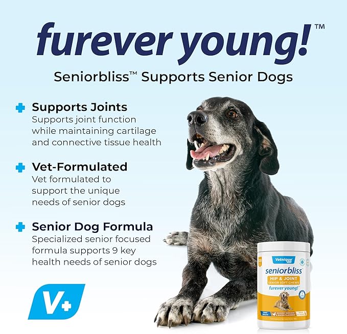 Vetnique Seniorbliss Senior Dog Joint Supplement with Glucosamine and Chondroitin for Dogs Joint Support and Healthy Cartilage Development - for Small & Large Breeds (Hip & Joint Chew, 120ct)