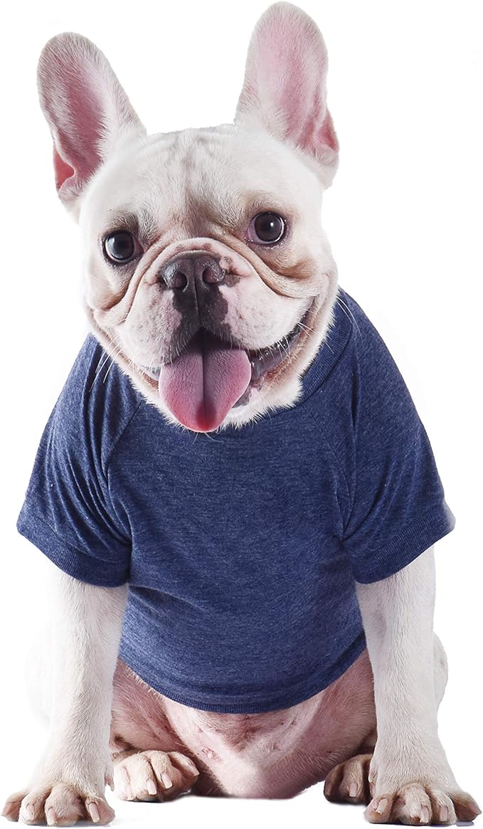 Star Wars for Pets Yoda Wisdom Dog Tee | Dog Shirt for Large Dogs | Size Large | Soft, Cute, and Comfortable Dog Clothing and Apparel, Cute Dog Clothes