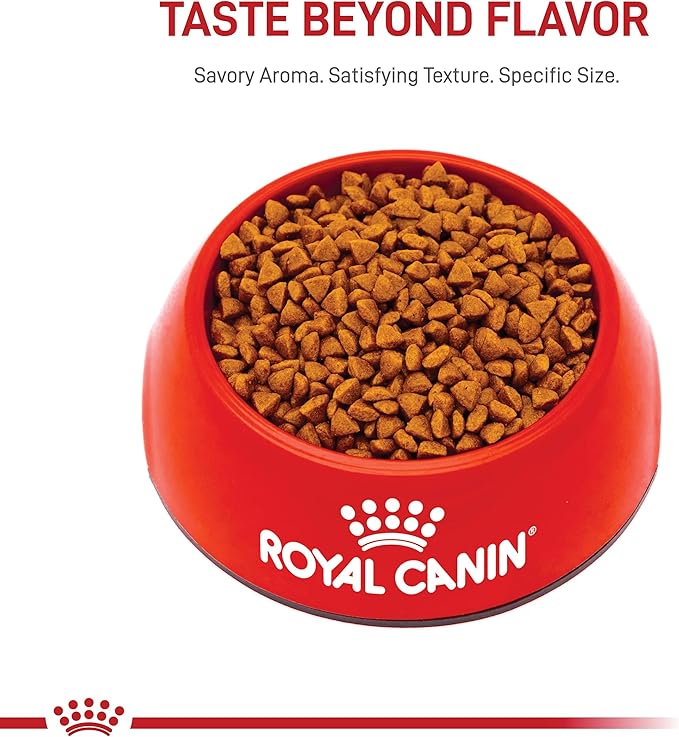 Royal Canin Size Health Nutrition Small Starter Mother & Babydog Dry Dog Food, 2 lb bag