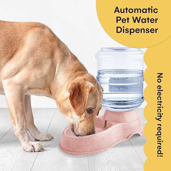 Noa Store Automatic Pet Water Dispenser | 1 and 3 Gallon Cat Water Dispenser and Cat Food Dispenser, H20, BPA-Free, Small and Big Cat feeder and Dog Water Dispenser, Cat Water Bowl and Dog Feeder