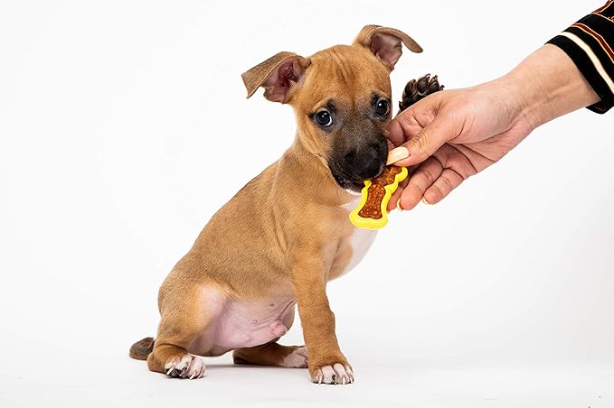 Hartz Chew 'n Clean Dental Duo Bacon Flavored Dental Dog Chew Toy and Treat - Extra Small