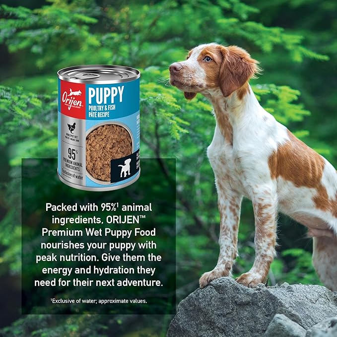 ORIJEN Puppy Poultry & Fish Pate Recipe Wet Dog Food, Pate Dog Food for Puppies, WholePrey Ingredients, 12.8oz (Case of 12)