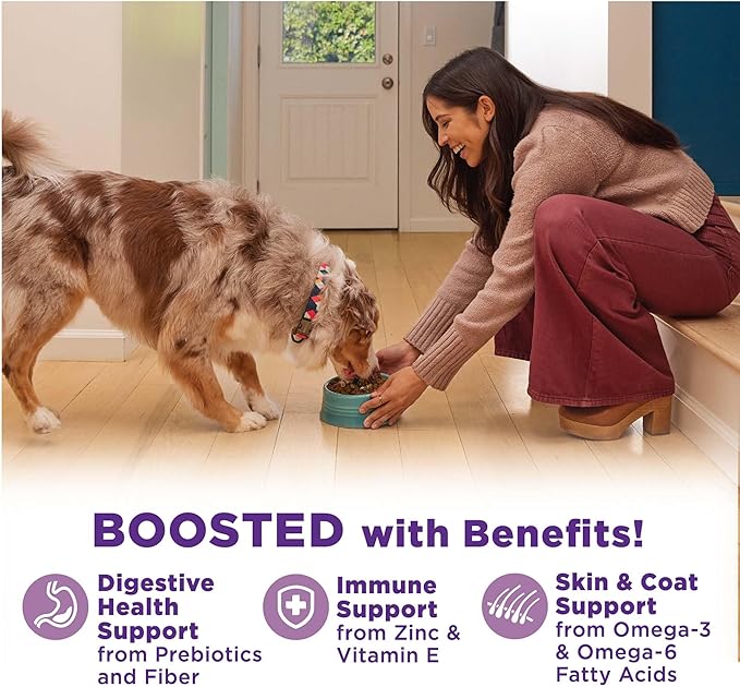 Wellness Bowl Boosters Hearty Toppers, Chicken & Pumpkin Recipe in Savory Bone Broth Dog Food Toppers, 5.5 Ounce Pouch (Pack of 12)