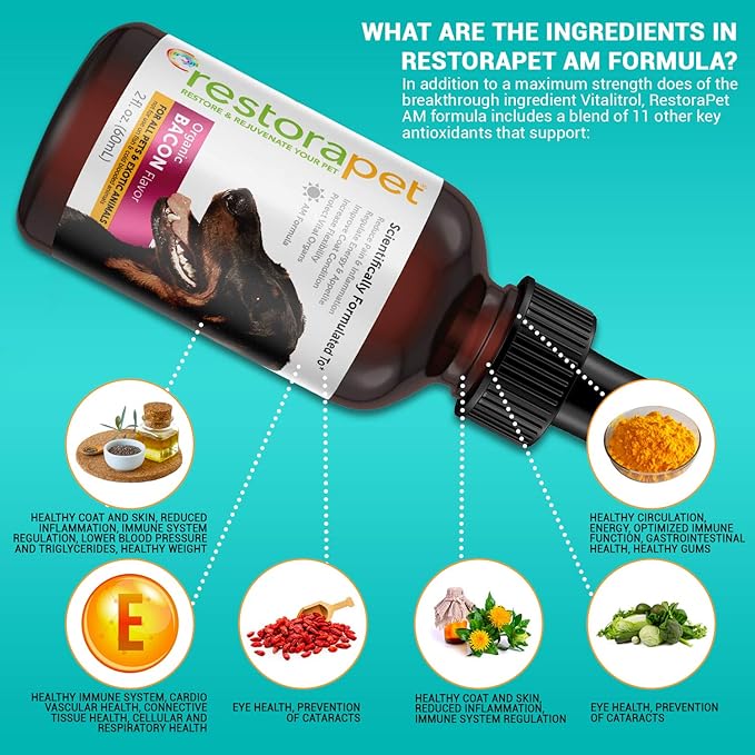 RestoraPet 2-Pack Dog & Cat Beef Liquid Multivitamin | Dog Arthritis Pain Relief | Hip & Joint Vitamins for Dogs - Anti Inflammatory Supplement for Dogs & Cats | Organic & Non-GMO, Vet Approved