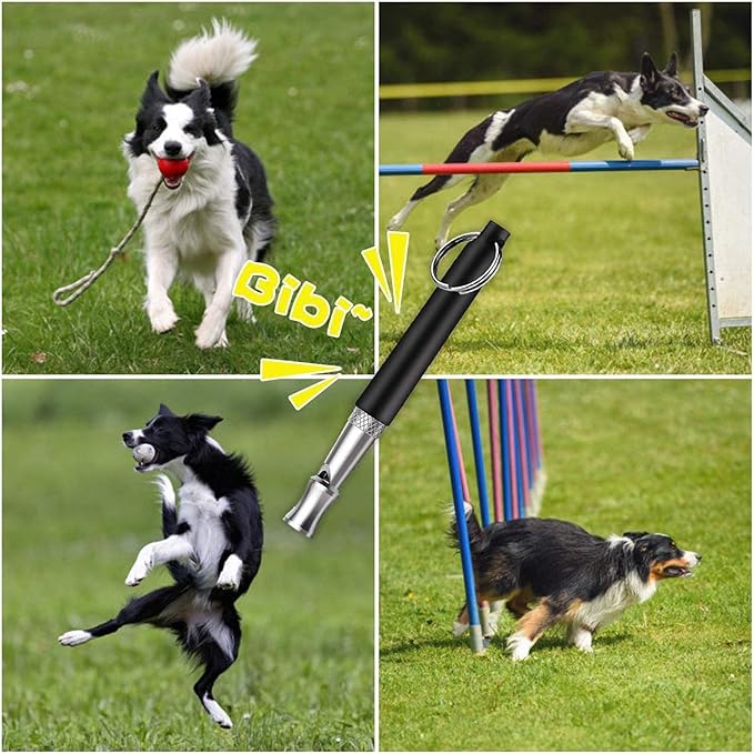 6 Pack Dog Whistle with Lanyard Stop Neighbors Dog from Barking Adjustable Ultrasonic Silent Dog Whistle Professional Dog Training Whistles for Dog Daily Training
