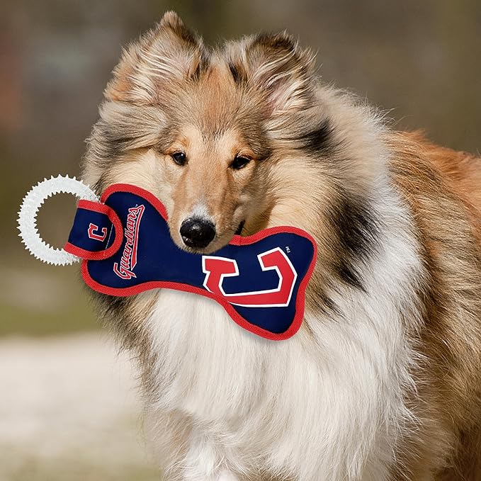 MLB Cleveland Guardians Bone Shaped Dental Dog TUG Toy with Squeaker. Tough PET Toy for Healthy Fun, Teething, and Cleaning pet's Teeth and Gum.