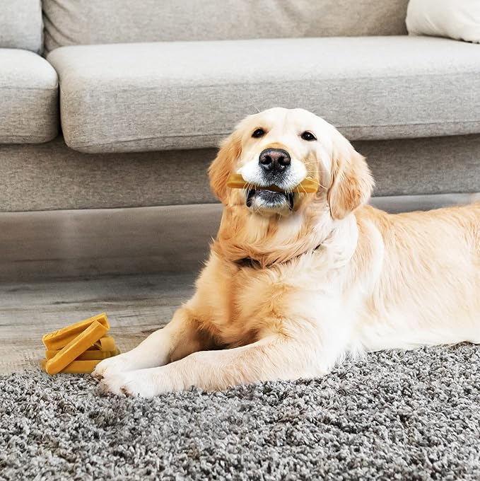Medium Himalayan Yak Cheese Dog Chews, Medium (1 Stick) Long Lasting, 100% Natural with Pink Salt and Lime Juice for All Dogs