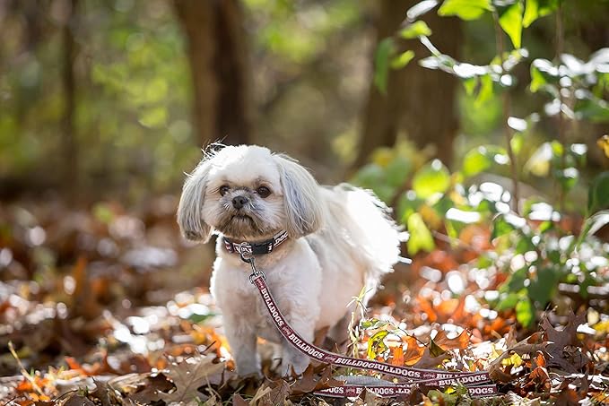Pets First Collegiate Pet Accessories, Dog Leash, Mississippi State Bulldogs, Medium