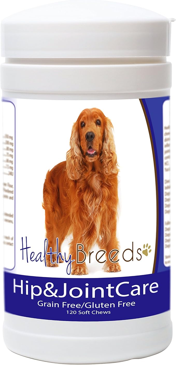Healthy Breeds English Cocker Spaniel Hip and Joint Care 120 Count