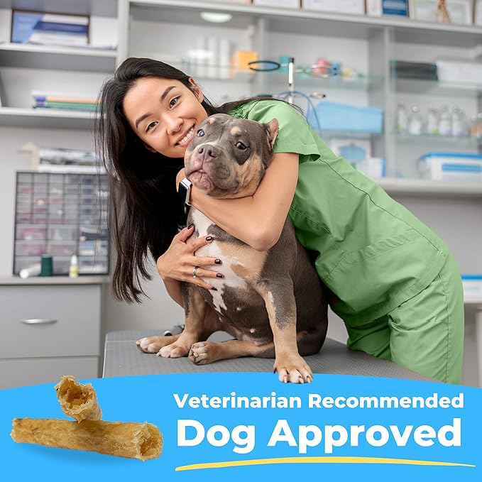 Soft Rawhide Chews | Safe Dental Treats for Small Dogs | Vet VOHC Approved | Daily Bone Cleans Teeth & Gums Fresh Breath Oral Health Support | USA Made | (Small Dogs / 12 Count)