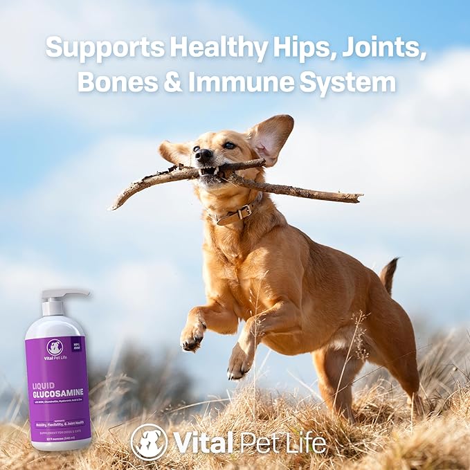 Liquid Glucosamine for Dogs Cats & Horses with Chondroitin, MSM, and Hyaluronic Acid, Hip & Joint Supplement for Mobility & Comfort, Supports Joint Health & Flexibility, Mobility, & Protection, 32 oz