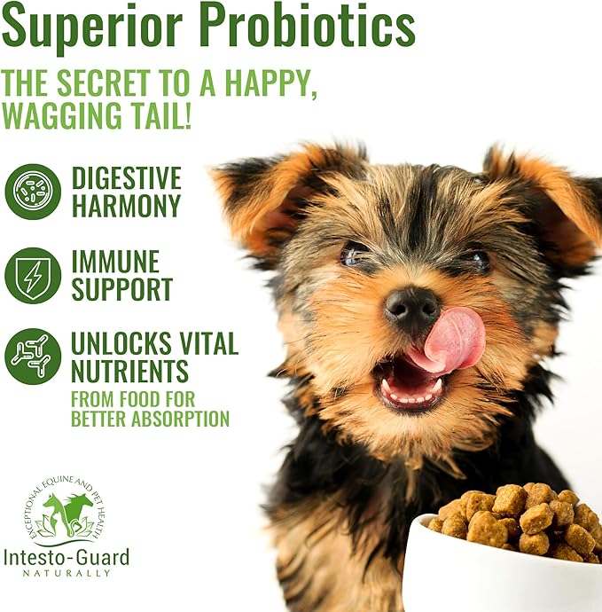 Powder Prebiotic Probiotics for Dogs & Cats Bowel Digestive Immune Support Supports Gut Flora Nutrition Immunity 180G Bottle - 90 Scoops (Powder)