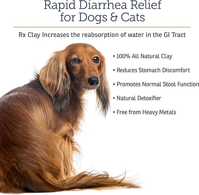 Rx Vitamins Rx Edible Clay Powder - Anti Diarrhea for Dogs & Cats and Promotes Gas Relief for Dogs - Aids in Cat Digestive Support and Dog Constipation Relief - 3.52 oz