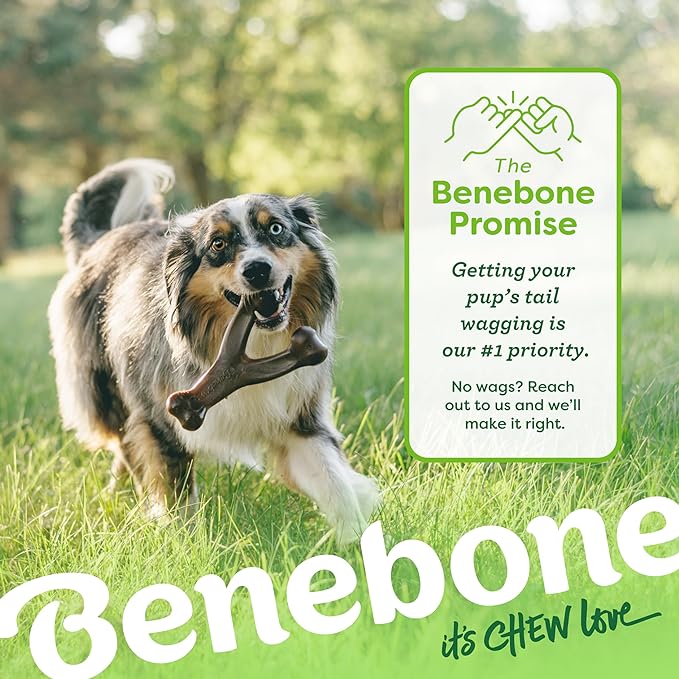 Benebone Wishbone Durable Dog Chew Toy for Aggressive Chewers, Real Chicken, Made in USA, Small, for Any breed