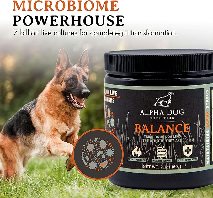 Balance Probiotic Blend for Dogs by Alpha Dog Nutrition