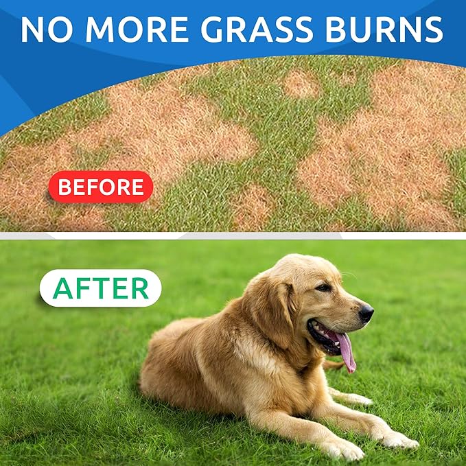 Bark&Spark All-Natural Grass Burn Spot Chews for Dogs - Pee Lawn Spot Saver - Grass Restore Treats - Dog Urine Neutralizer Solution for Grass Burn Spots - Made in USA - 120 Chews