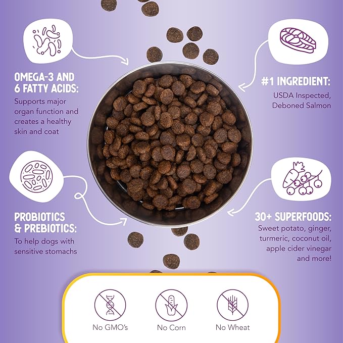 Health Extension Dry Dog Food, Natural Food with added Vitamins & Minerals, Suitable for All Puppies, Grain Free, Salmon & Sweet Potato Recipe with Whole Vegetable & Berries (1 Pound)