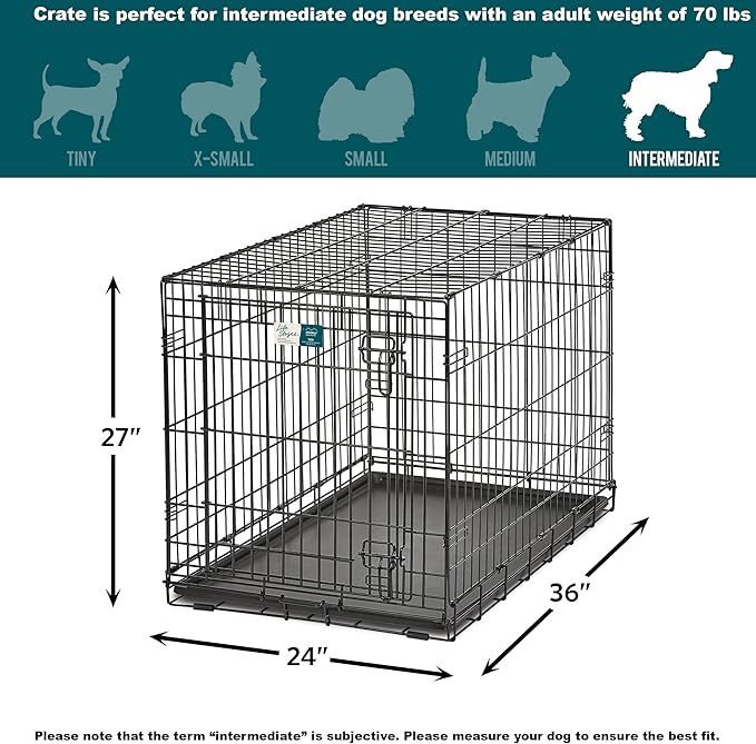 MidWest Homes for Pets Dog Crate | Life Stages 36' Folding Metal Divider Panel, Floor Protecting Feet, Leak-Proof Pan 36L x 23W 25H Inches, Intermediate Breed, Black