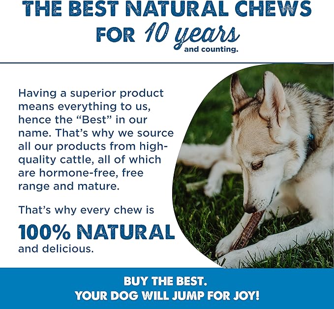Best Bully Sticks 12 Inch Joint Jerky Gullet Dog Treats (12 Pack) - All-Natural Beef Dog Treats