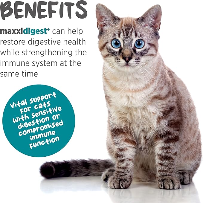 maxxidigest+ Probiotics, Prebiotics and Digestive Enzymes - Digestive and Immune Support Supplement for Cats – 3.2 oz